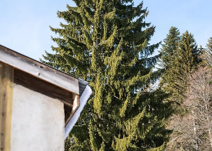 La Montagne Devant Bed & Breakfast